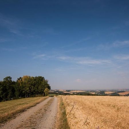 Landgasthof Dittersdorfer Hoehe Amtsberg Dış mekan fotoğraf