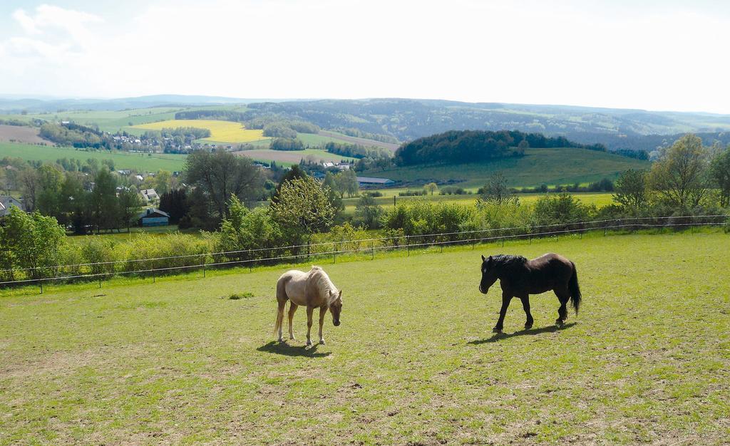 Landgasthof Dittersdorfer Hoehe Amtsberg Dış mekan fotoğraf