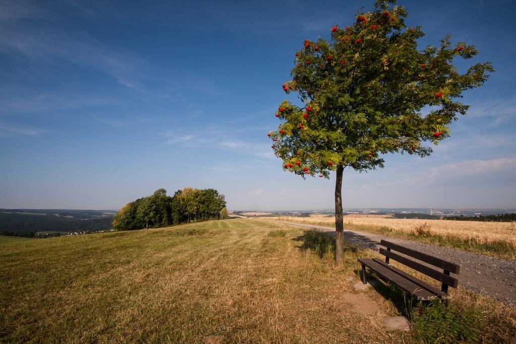 Landgasthof Dittersdorfer Hoehe Amtsberg Dış mekan fotoğraf